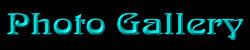 Photo Gallery